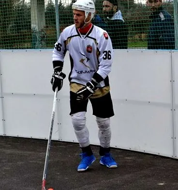 pierdut și-a