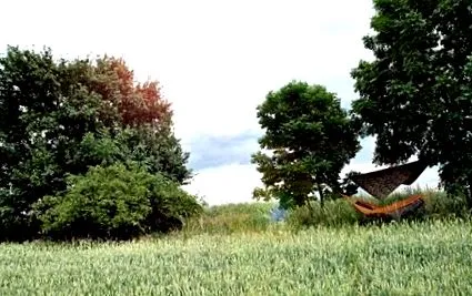 într-un într-un