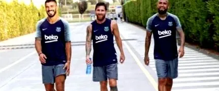 despre suarez