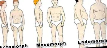 somatotipuri tipuri
