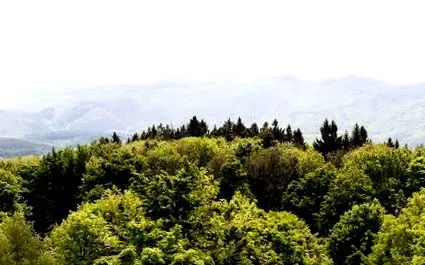 slovacia