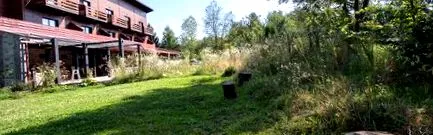 vistisoara vistisoara