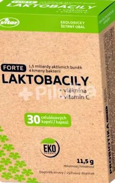 forte lactobacilli