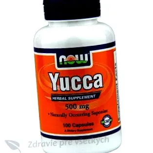 yucca yucca