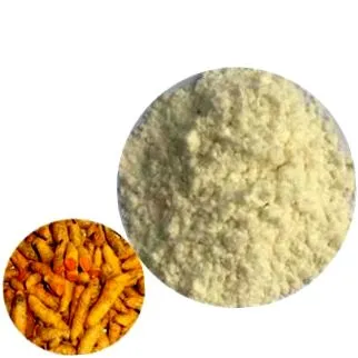 influența nutritions