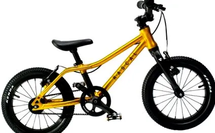 copii biciclete