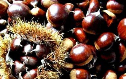 castane bunicile