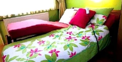 adecvată Noul adecvată Noul