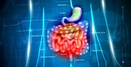 intestinale boli