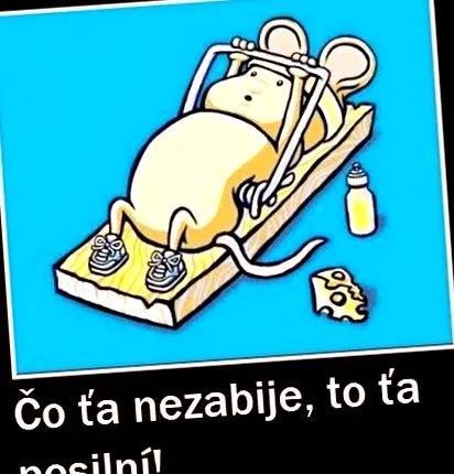 igor erősítő