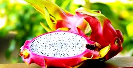 fructele