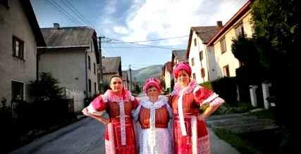търси земя