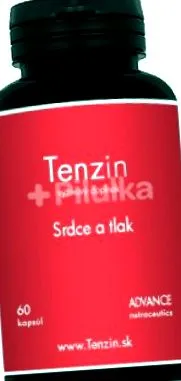 tenzin