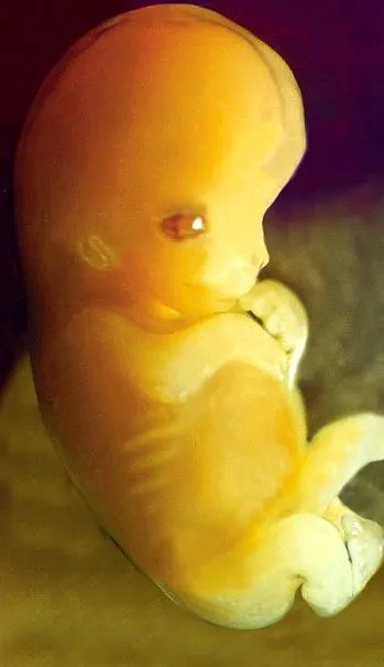 биоетична