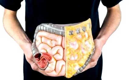 digestive digestive