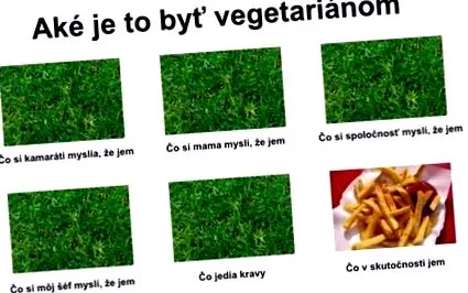 vegetarianism vegetarianism