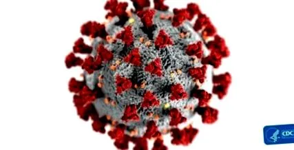 care provoacă autor