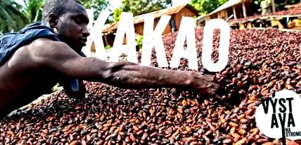 kakaónak