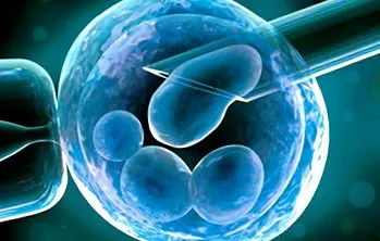inseminarea