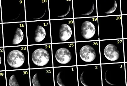 blog lunare