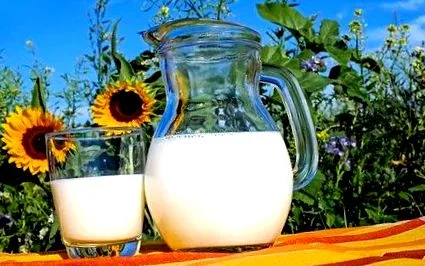 proteinele alergie