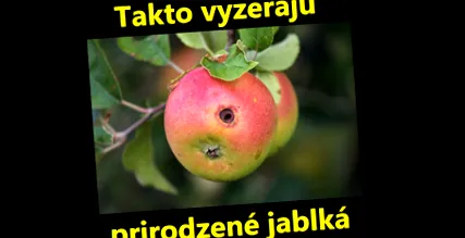 разпознаем