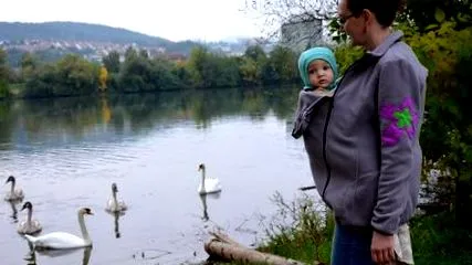 îmbraci îmbraci
