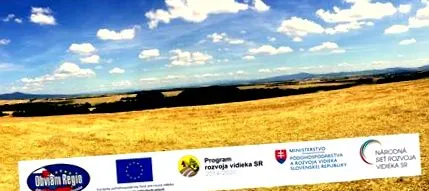 pentru regiunea