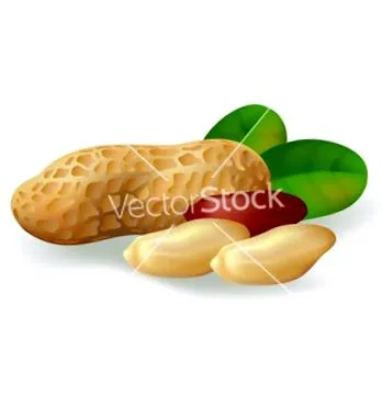 здраве