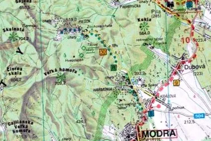 iuda