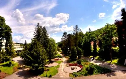 căilor respiratorii