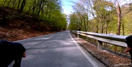 Bankov este