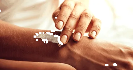 съвета