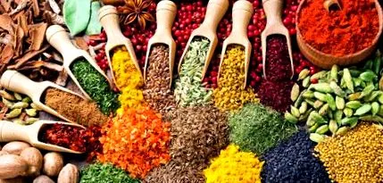 ayurveda