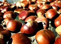 castane