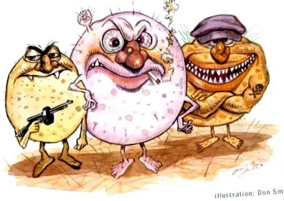 candida infecția