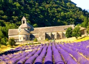 provence
