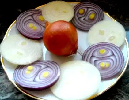 cameră prim