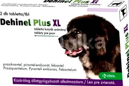 pentru pentru