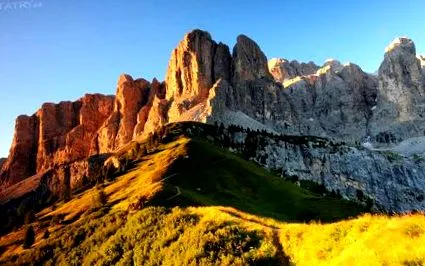 agenția italia