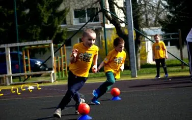 asociației