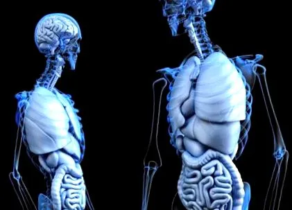 lung coronavirusului