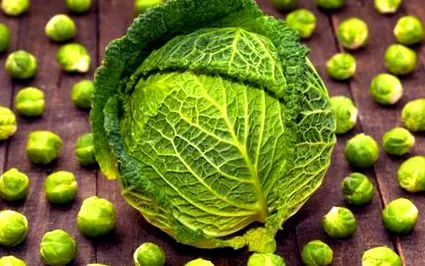 detoxifierea