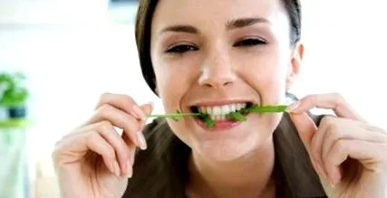 dieta vezica
