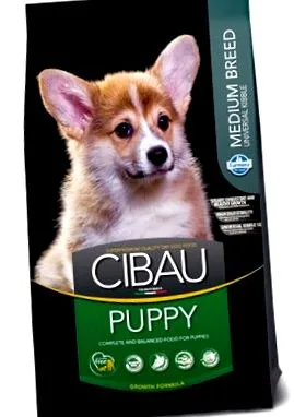 câine quinoa