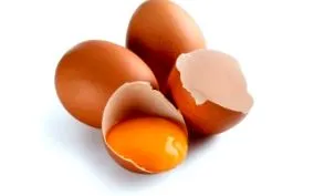 eggs