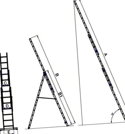 ladder ladder