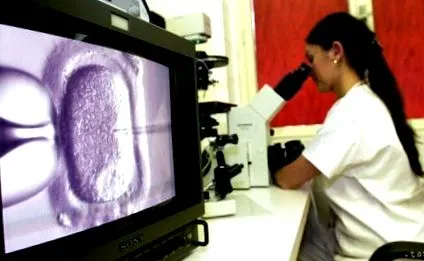 inseminare