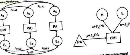 activitatea