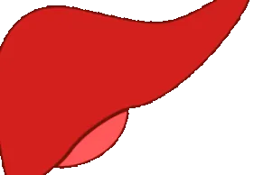 hepatita care
